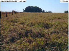 Foto Capa: LEILÃO DA JUSTIÇA FEDERAL DE PALMAS/TO - 2ª VARA FEDERAL