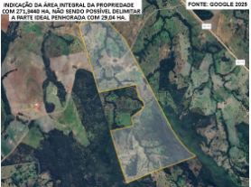 Foto Capa: LEILÃO DA JUSTIÇA ESTADUAL DE CAIAPÔNIA/GO - 1ª VARA CÍVEL