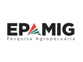 Foto Capa: LEILÃO EXTRAJUDICIAL - EMPRESA DE PESQUISA AGROPECUÁRIA DE MINAS GERAIS - EPAMIG