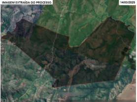 Foto Capa: LEILÃO DA JUSTIÇA DO TRABALHO DE PORANGATU/GO - POSTO AVANÇADO