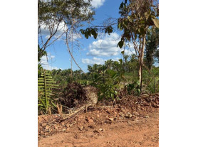 Foto Capa: ADIADO | Timbiras/MA - Grande Fazenda c/ 946,1351 ha