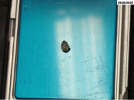 Foto de Diamante c/ massa de: 0,500 ct - Ji-Paraná/RO