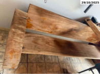 E_12024_693237_C.webp