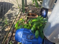 Miniatura 21 de Sistema de Refrigeração (CHILLER) - Campo Grande/MS