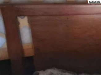 Cama de solteiro em madeira - Campo Grande/MS