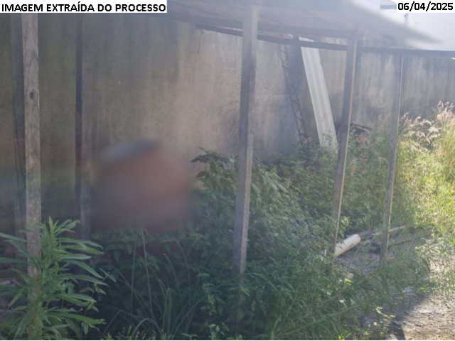 200 Escoras - Fortaleza/CE