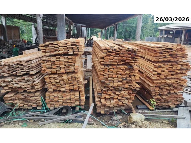 5.832 guias de 10,0 x 2,5 x 270cm de eucalipto