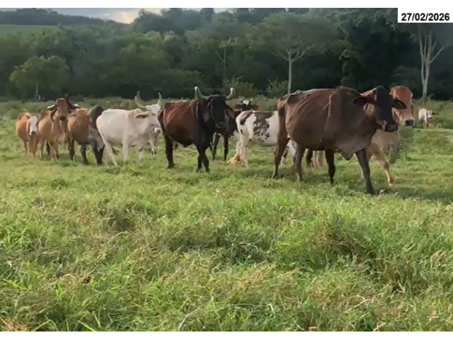 Foto Capa: ALIENAÇÃO DEFINITIVA DA SECRETARIA NACIONAL DE POLÍTICAS SOBRE DROGAS – SENAD – ESTADO DE SÃO PAULO – EDITAL N° 04/2026 – ANEXO I