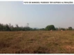 BR 364, em frente à entrada da linha 50, Projeto de Assentamento Dirigido Marechal Dutra (Gleba 35/D, lote 02), Ariquemes/RO