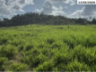Sítio com 25,03 hectares.