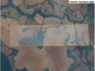 Linha 85, situado à 10 km da RO-391, Sítio Novo Paraíso (lote rural nº 11, gleba lote 51, Setor 07), Chupinguaia/RO