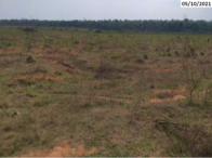 Fazenda - 154,46 hectares - Tabaporã/MT, localizado em Tabaporã - MT