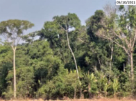 Fazenda - 154,46 hectares - Tabaporã/MT, localizado em Tabaporã - MT