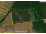 Fazenda - 154,46 hectares - Tabaporã/MT, localizado em Tabaporã - MT
