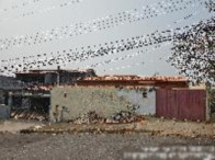 Imagem do imóvel Casa - 177,7m² - Campinas/SP