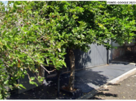 Casa - 35,42m² - São José Do Rio Preto/SP, localizado em São José Do Rio Preto - SP