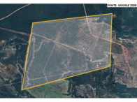 Fazenda - 290,40ha - Torixoréu/MT, localizado em Torixoréu - MT
