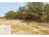 Fazenda - 290,40ha - Torixoréu/MT, localizado em Torixoréu - MT