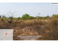 Fazenda - 290,40ha - Torixoréu/MT, localizado em Torixoréu - MT