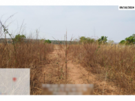 Fazenda - 290,40ha - Torixoréu/MT, localizado em Torixoréu - MT