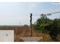 Fazenda - 290,40ha - Torixoréu/MT, localizado em Torixoréu - MT