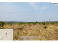 Fazenda - 290,40ha - Torixoréu/MT, localizado em Torixoréu - MT