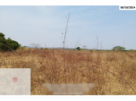 Fazenda - 290,40ha - Torixoréu/MT, localizado em Torixoréu - MT