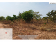Fazenda - 290,40ha - Torixoréu/MT, localizado em Torixoréu - MT