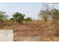 Fazenda - 290,40ha - Torixoréu/MT, localizado em Torixoréu - MT