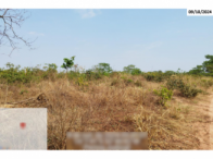 Fazenda - 290,40ha - Torixoréu/MT, localizado em Torixoréu - MT