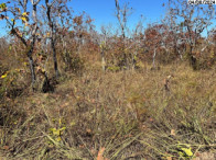 Fazenda c/ 208,3638 hectares – Pimenta Bueno/RO, localizado em Pimenta Bueno - RO