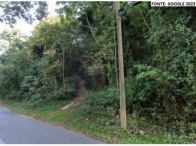 Sítio c/ 31,77 hectares - Poços de Caldas/MG