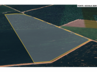 Sítio - 77,44Ha - Sinop/MT, localizado em Sinop - MT