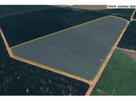 Sítio - 77,44Ha - Sinop/MT, localizado em Sinop - MT