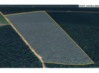 Sítio - 77,44Ha - Sinop/MT, localizado em Sinop - MT