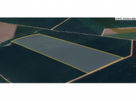 Sítio - 84,70 ha - Sinop/MT, localizado em Sinop - MT