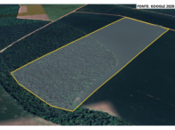 Sítio - 84,70 ha - Sinop/MT, localizado em Sinop - MT