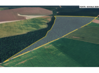 Fazenda - 121Ha - Sinop/MT, localizado em Sinop - MT