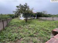 Casa - Terreno 450m² - Sairé/PE, localizado em Sairé - PE
