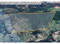 Imagem 6