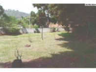 Chácara - 3.981,83m² - c/ benfs. - Bragança Paulista/SP, localizado em Bragança Paulista - SP, bairro Serrinha