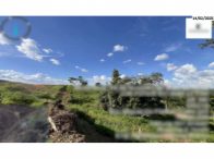 Imóvel rural - São Miguel do Passa Quatro/GO, localizado em São Miguel Do Passa Quatro - GO