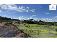 Imóvel rural - São Miguel do Passa Quatro/GO, localizado em São Miguel Do Passa Quatro - GO