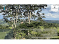 Imóvel rural - São Miguel do Passa Quatro/GO, localizado em São Miguel Do Passa Quatro - GO