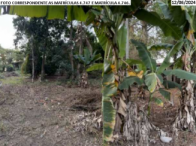 Terrenos - Elias Fausto/SP, localizado em Elias Fausto - SP
