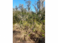 Terreno c/ 22.523,66m² - Área 05 - Estância Grande, localizado em Alvorada - RS