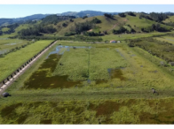 Sítio c/ 23,91 hectares - Casa 900m² - Galpão/Curral 800m², localizado em Imaruí - SC