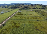 Sítio c/ 23,91 hectares - Casa 900m² - Galpão/Curral 800m², localizado em Imaruí - SC