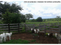 Fazenda Picco c/ 650,49,49 has - Dois Irmãos/TO, localizado em Dois Irmãos Do Tocantins - TO