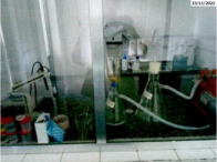 I_14959_683400_AH.jpg